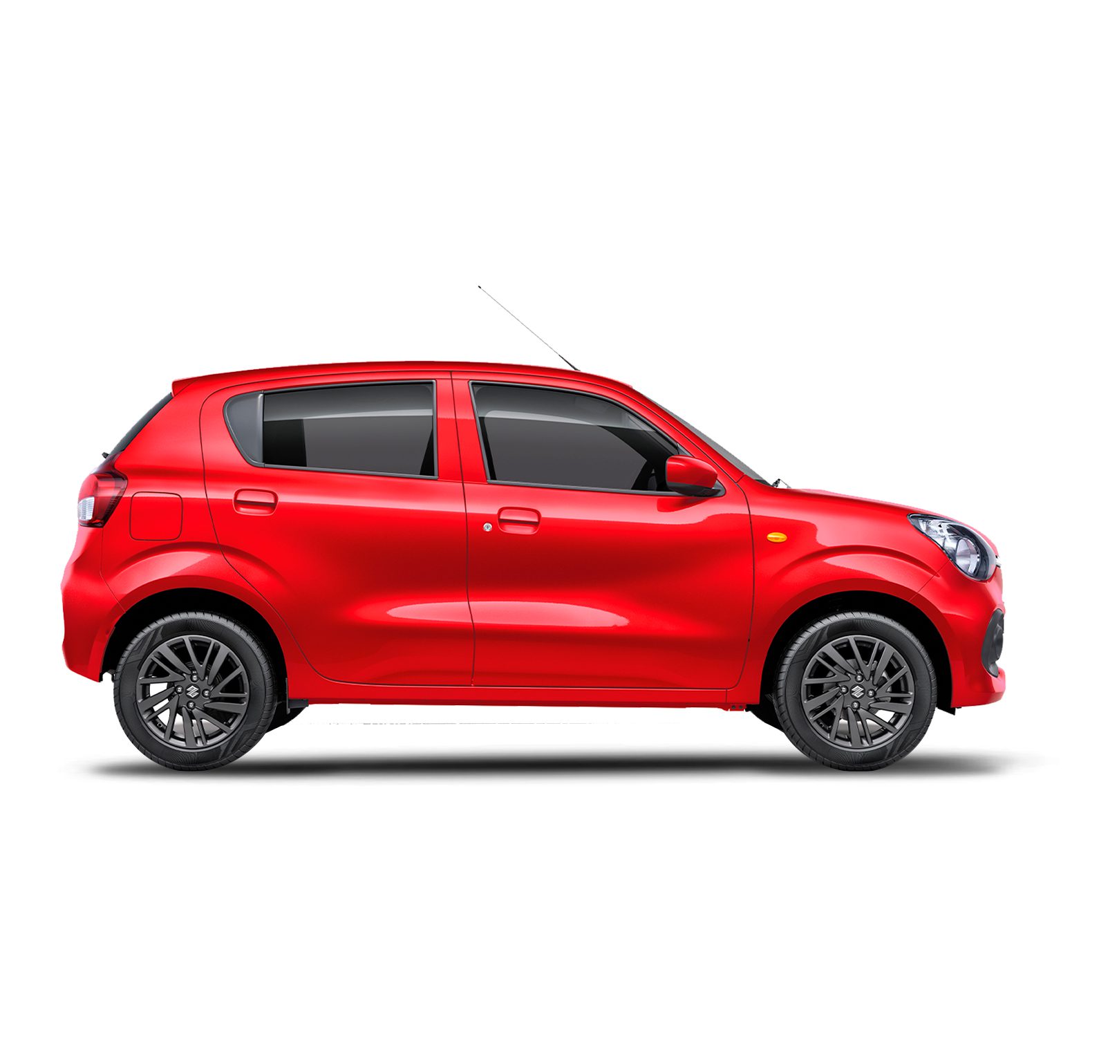Celerio_25-04-24