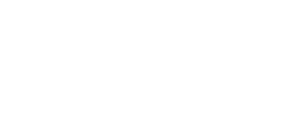 microbus-white